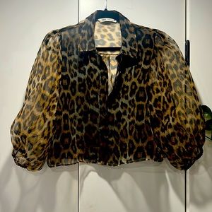 Leopard sheer cropped top